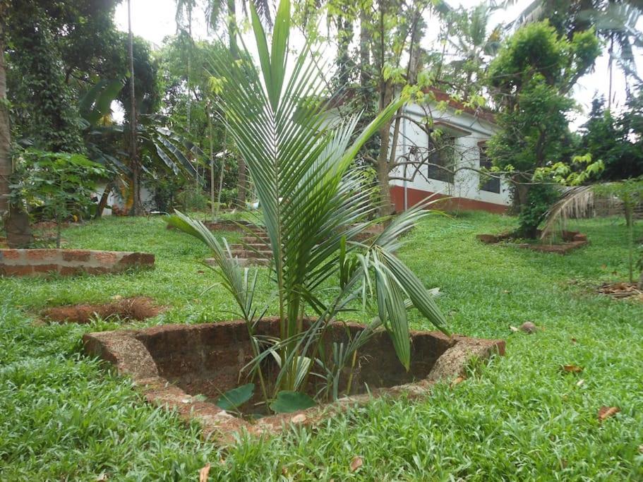 Runnin Airport - Homestay Gurpur Extérieur photo