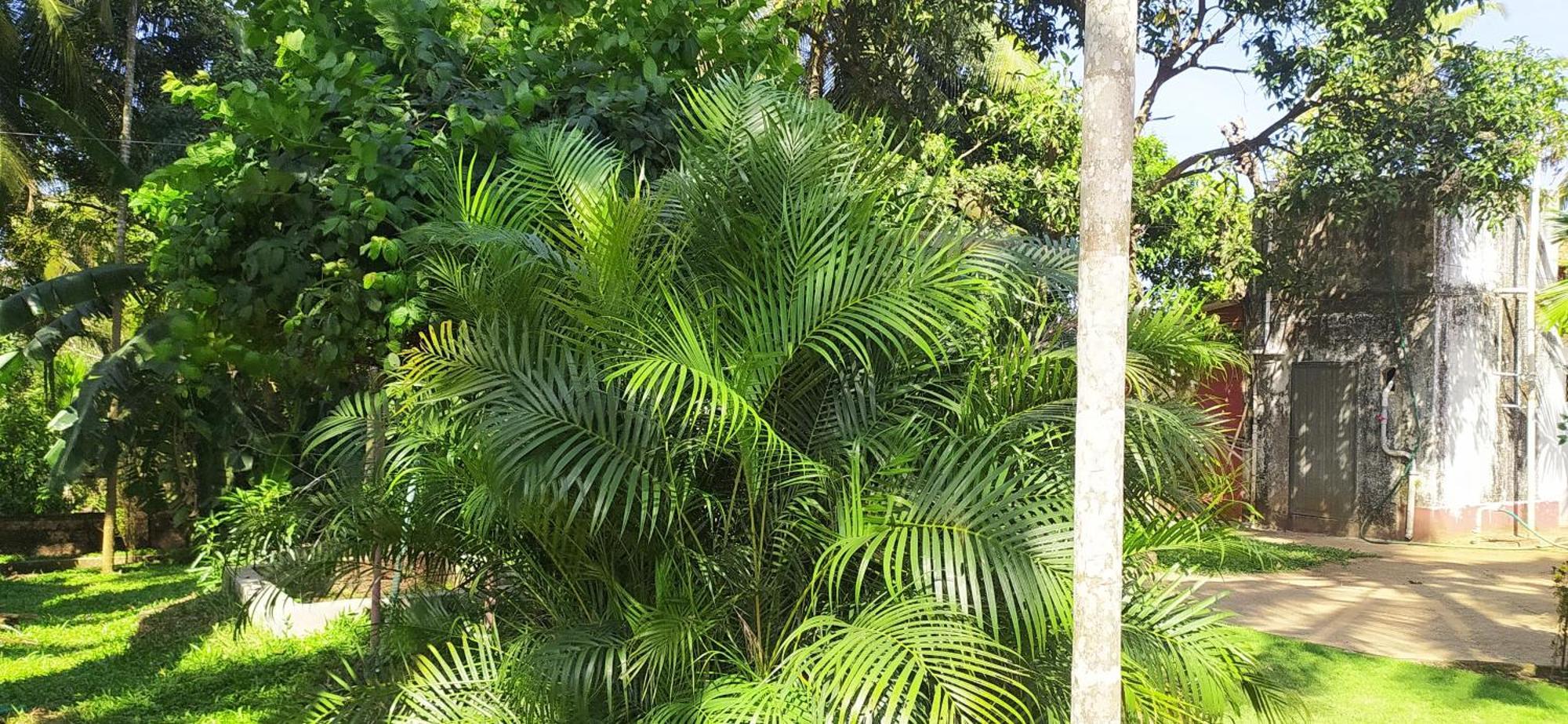 Runnin Airport - Homestay Gurpur Extérieur photo